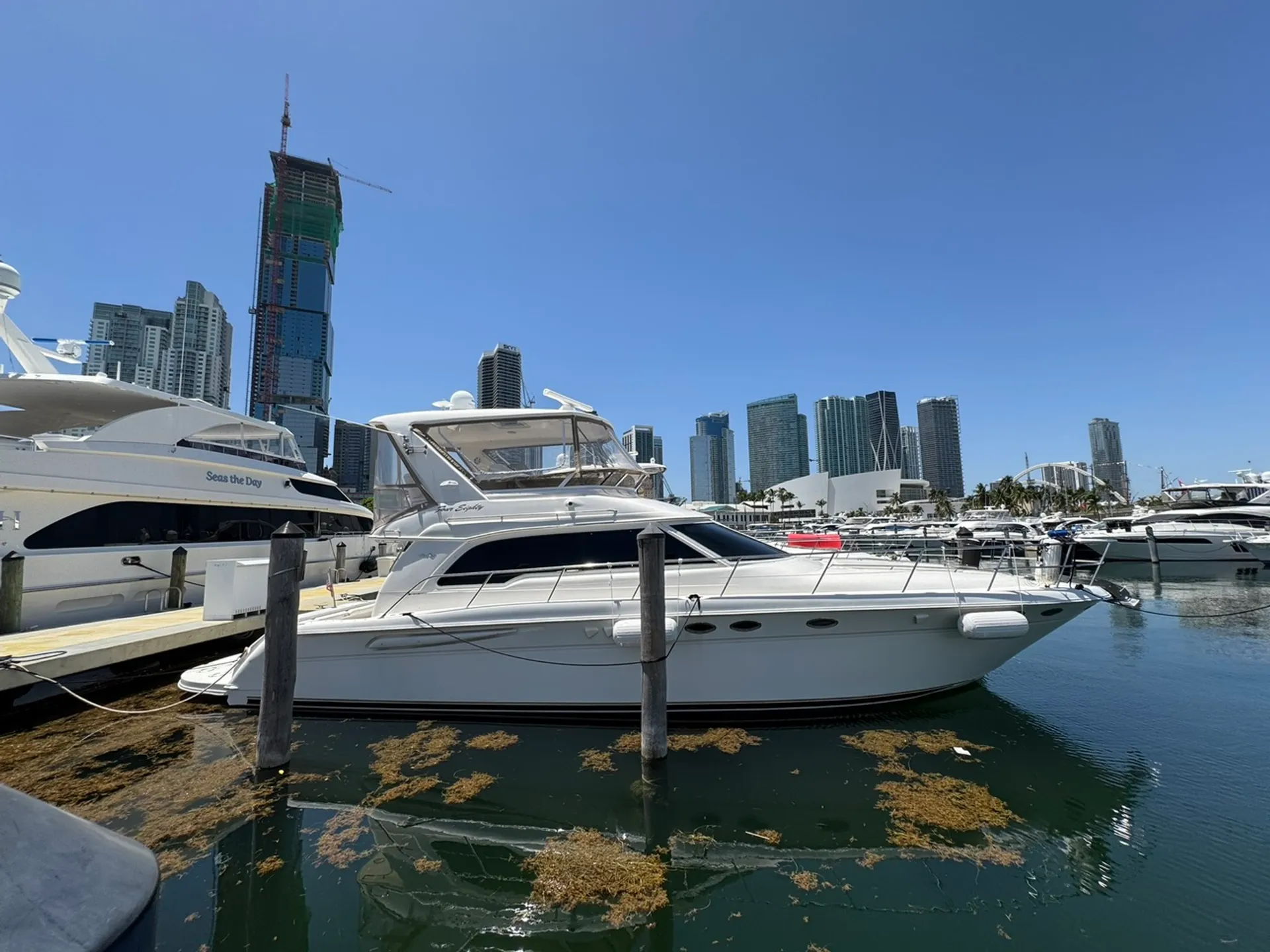 Sea Ray Boats 480 Sedan Bridge in Miami, FL