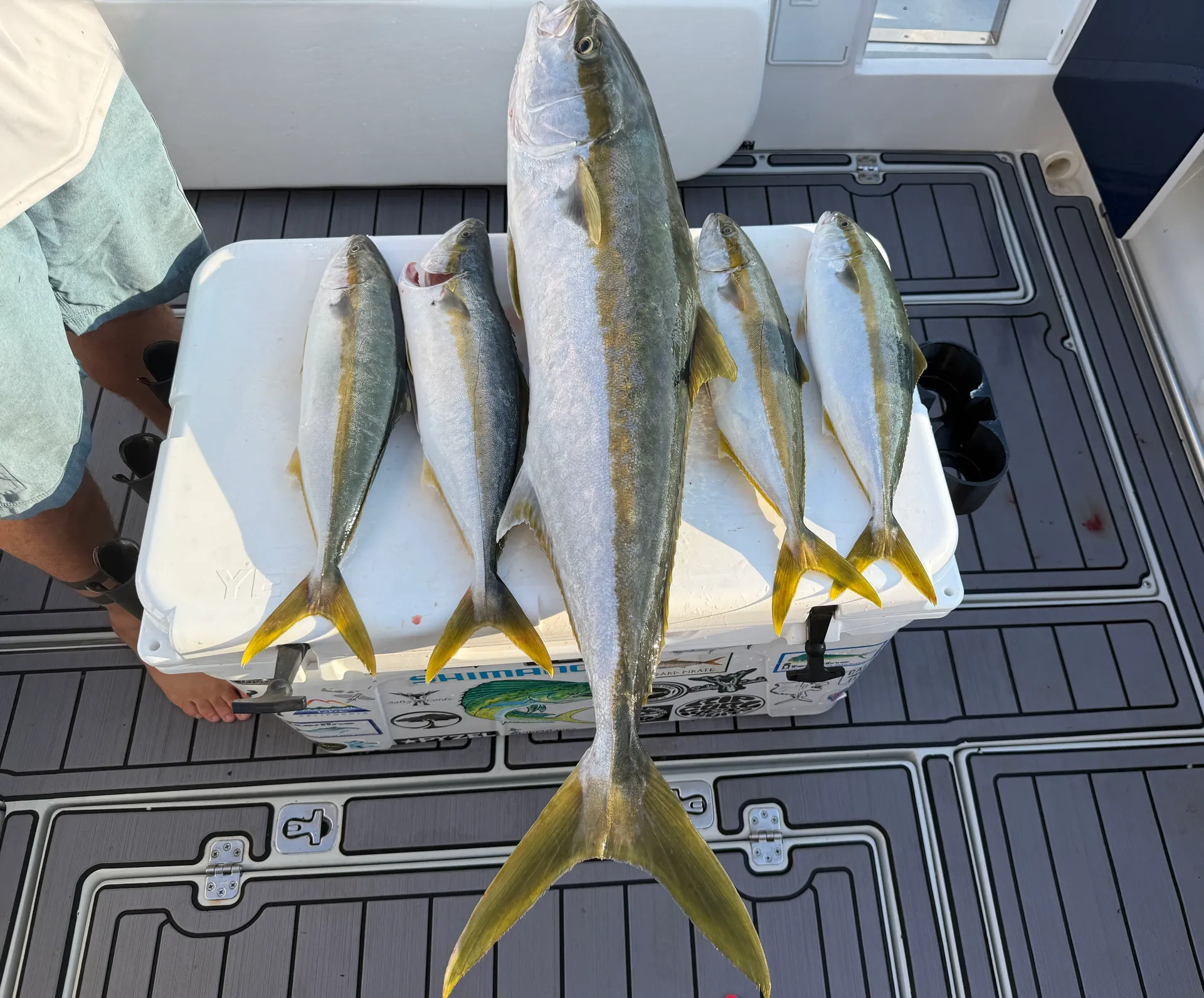 Sport Fishing Boat for Harbor Cruises and Fishing for 6 Guests