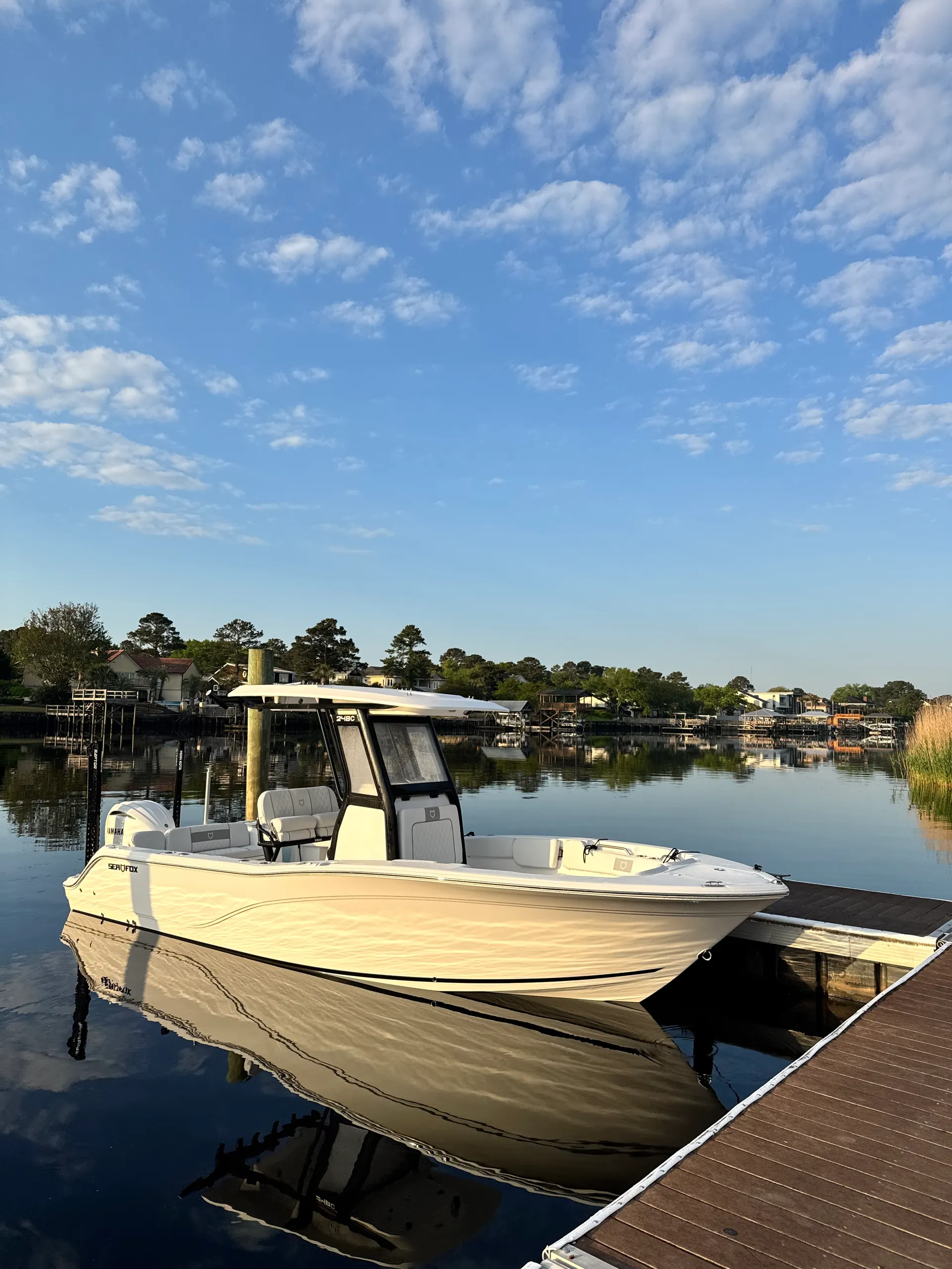 SEA FOX 248 COMMANDER in Myrtle Beach, SC — photo 2