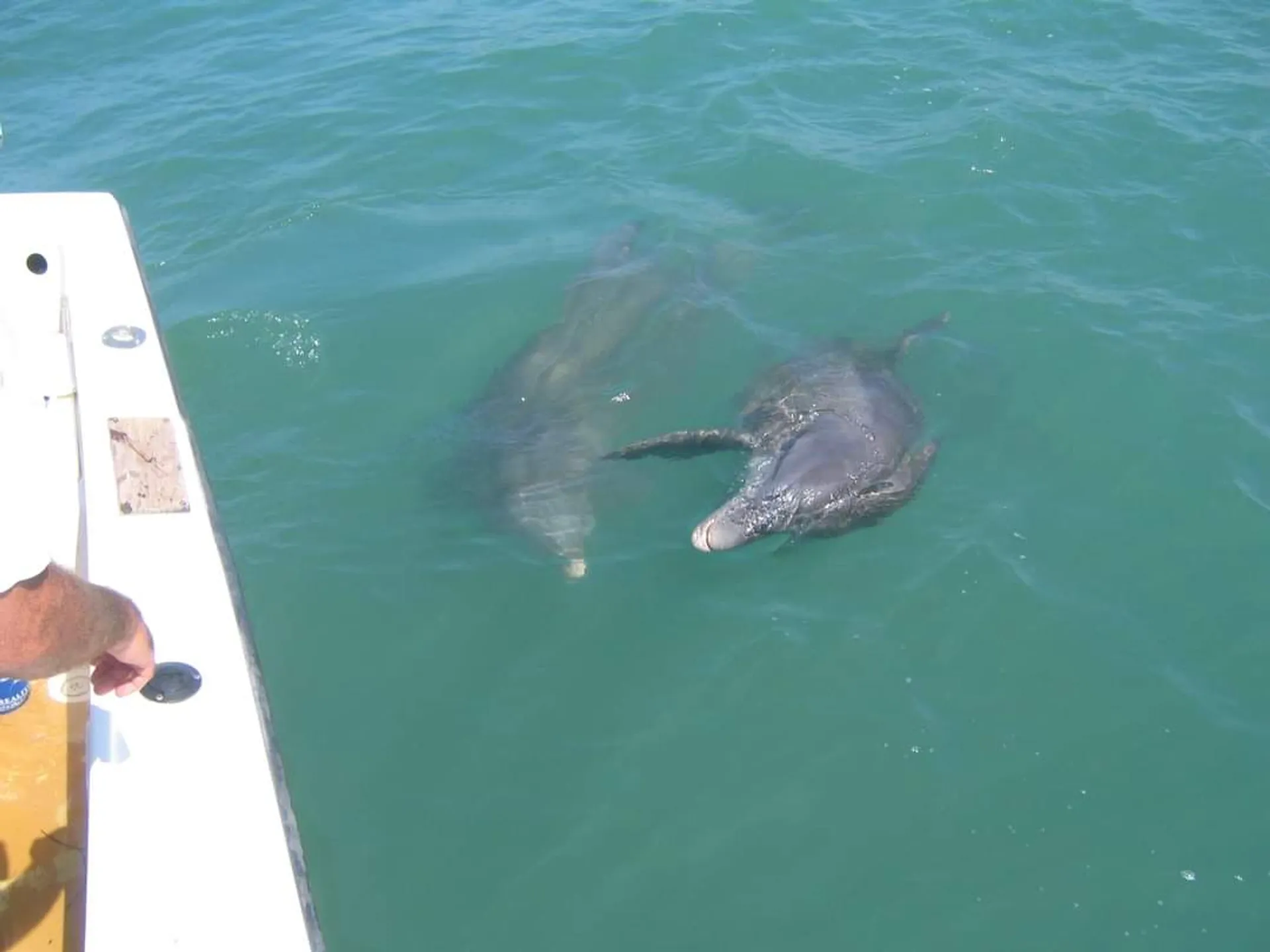 SPORTSMAN BOATS OPEN 232 in Englewood, FL — photo 7