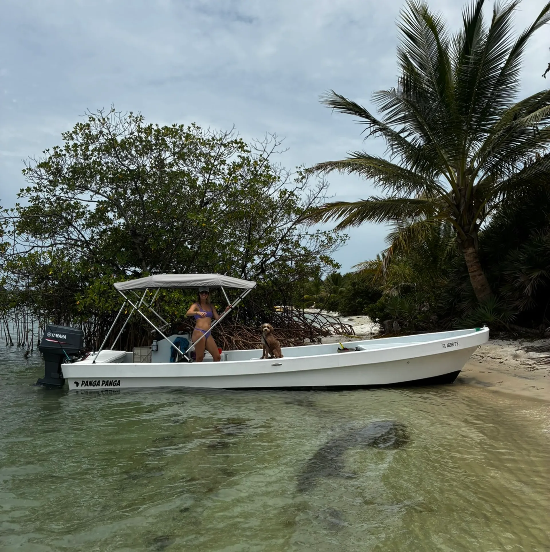 23’ Avid Marine Panga: Shallow-Water Fishing & Sandbar Adventures