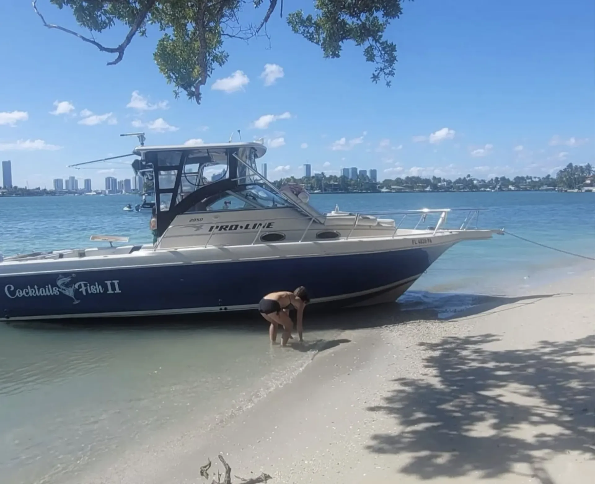 PRO LINE 2950 MID CABIN 30' in Miami, FL — photo 2