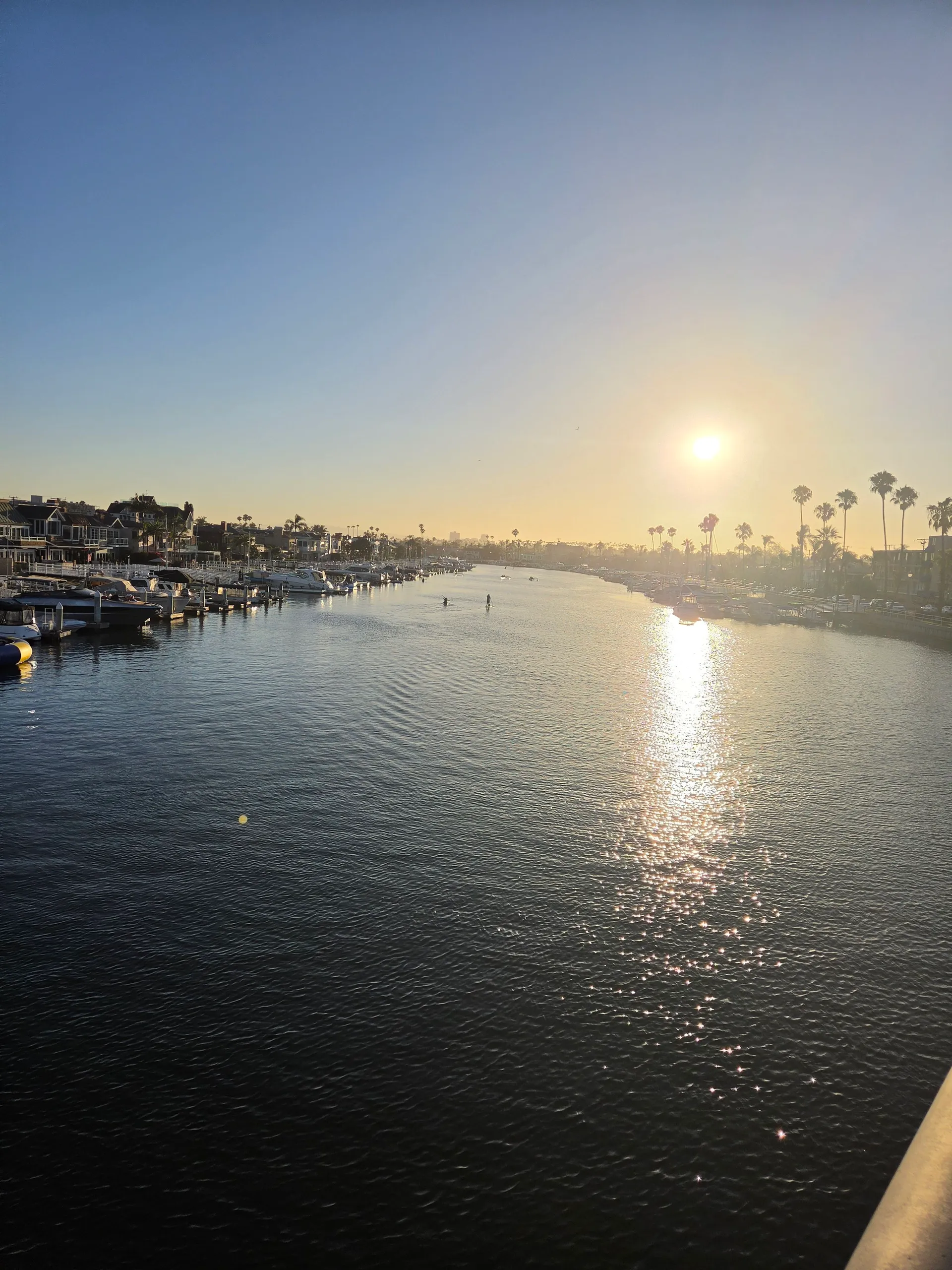 Over 200 Trips-EVERY REVIEW 5 STARS-Premium Boating Experience in L.B