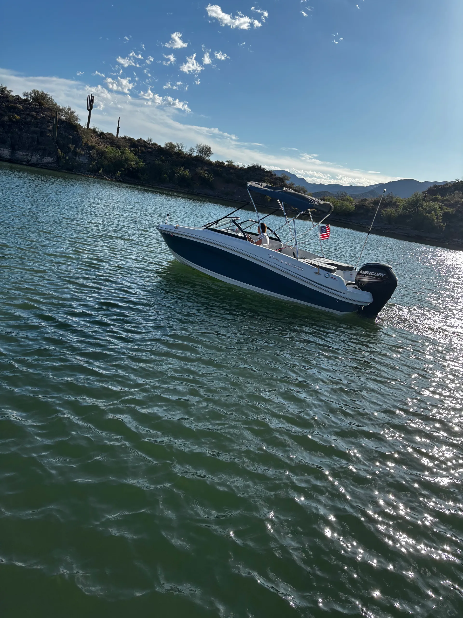TAHOE BY TRACKER MARINE 450 TF W/115EXLPT 4-S W/TRLR in San Tan Valley, AZ — photo 2