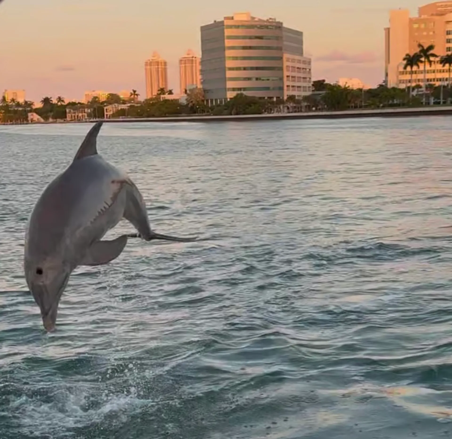 Unique Private Boat Tour in Miami !