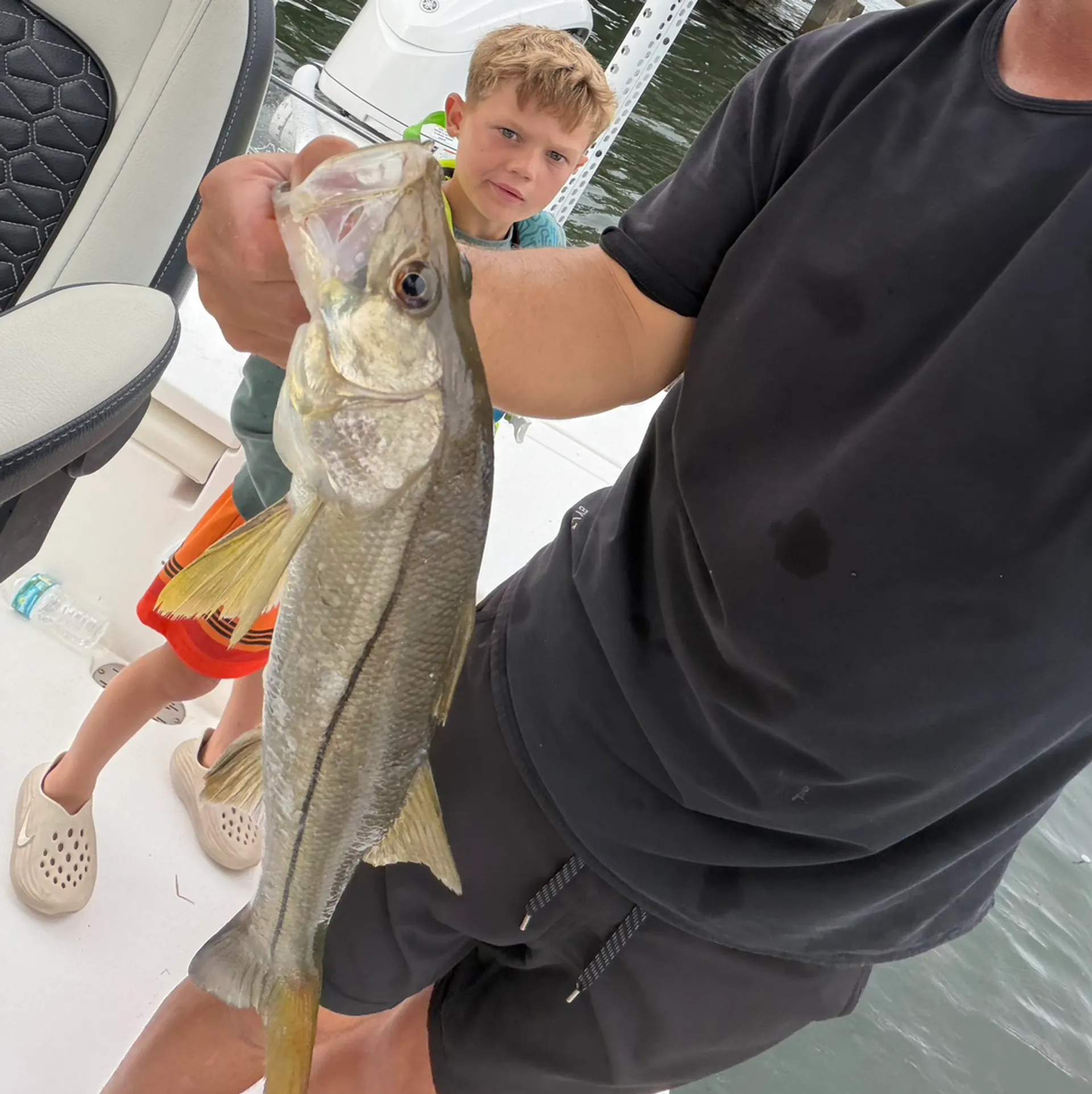 Brand New 2026 Tidewater 